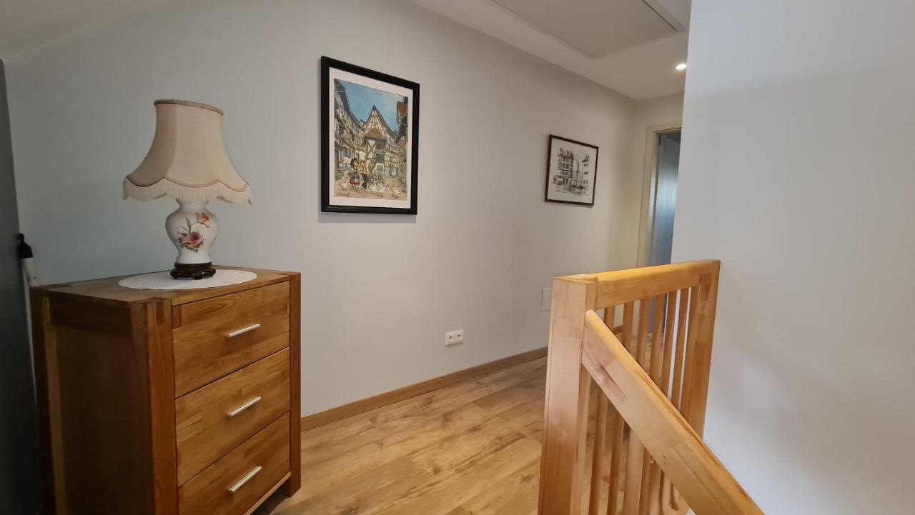 Appartement Duplex Climatise Avec Terrasse "Hansi" Кольмар Екстер'єр фото